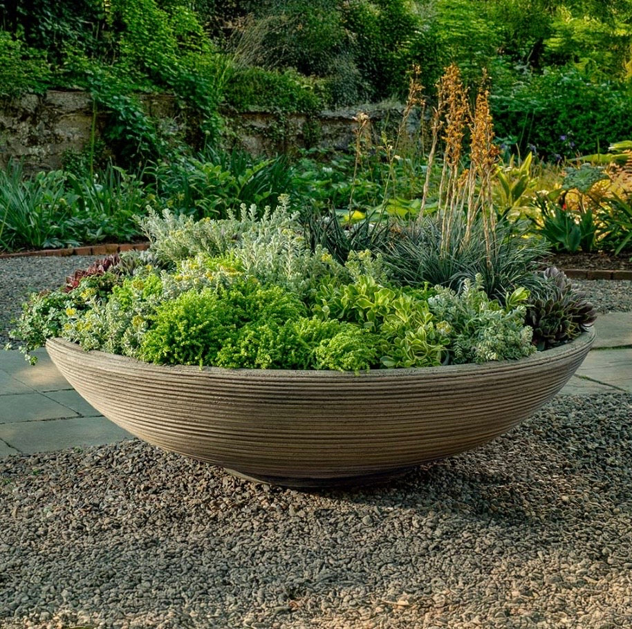 Enso Bowl - Coming Soon